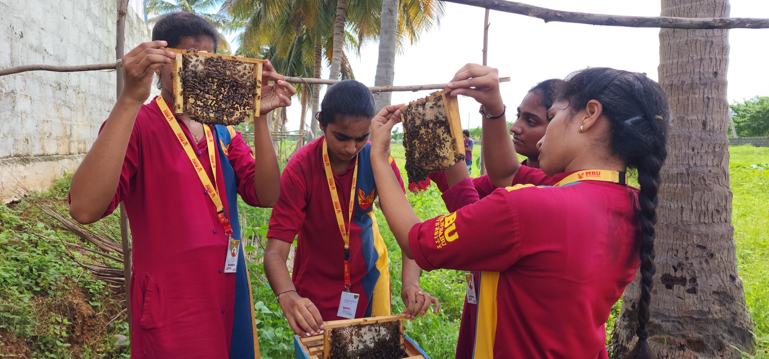 Bee Keeping Training Session